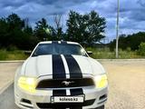 Ford Mustang 2014 годаүшін17 000 000 тг. в Караганда – фото 5