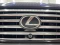 Lexus LX 570 2011 года за 21 300 000 тг. в Алматы – фото 20