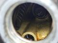 Двигатель J35A J35A4 3.5 Honda Pilot Odyssey USA Acura MDX Хонда Пилот за 530 000 тг. в Караганда – фото 9