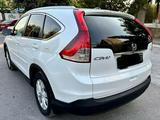 Honda CR-V 2013 годаүшін8 700 000 тг. в Шымкент – фото 5