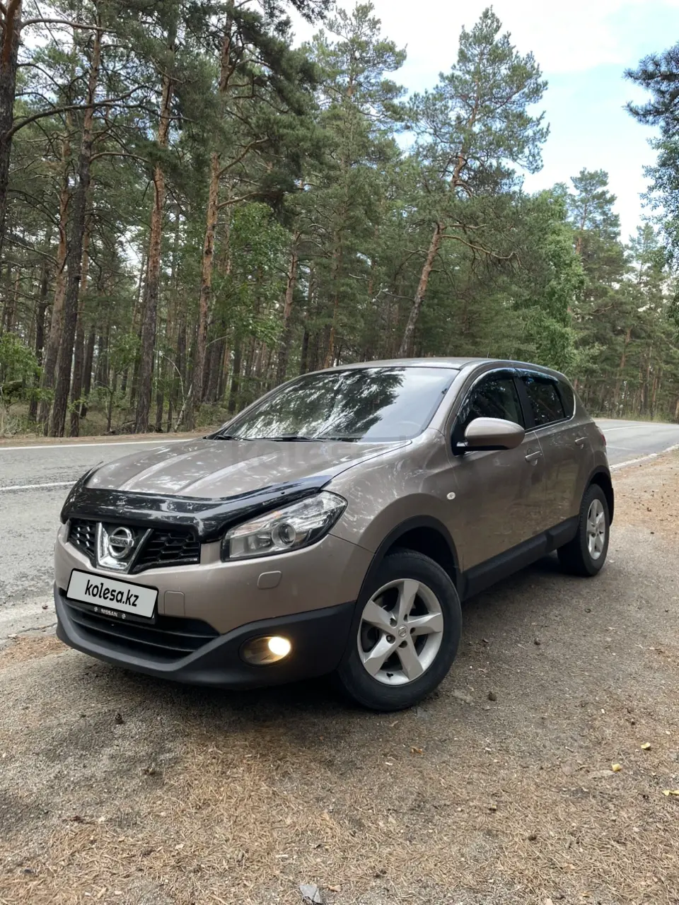 Nissan Qashqai, 2013
