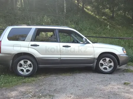 Subaru Forester 2003 года за 4 100 000 тг. в Алматы – фото 15