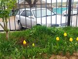 Toyota Camry Gracia 1998 годаүшін4 400 000 тг. в Тараз – фото 4