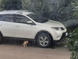 Toyota RAV4 2015 годаfor11 000 000 тг. в Петропавловск – фото 4