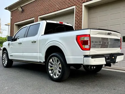Ford F-Series 2021 года за 43 500 000 тг. в Алматы – фото 12