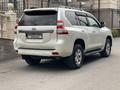 Toyota Land Cruiser Prado 2014 годаfor21 000 000 тг. в Караганда – фото 22