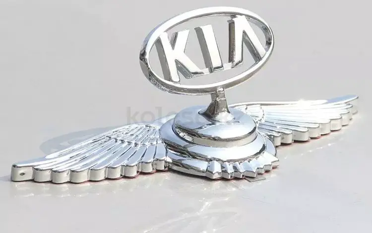Эмблема на капот автомобиля. за 6 500 тг. в Алматы