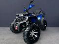 Motoland  300 Wild Track LUX 2026 года за 399 900 тг. в Алматы