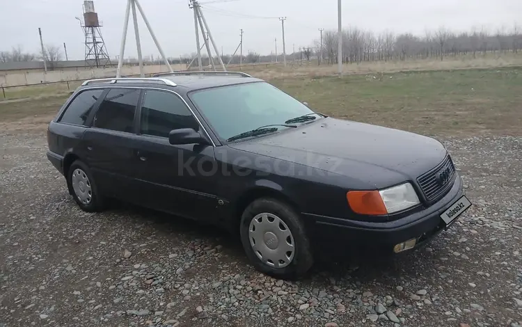 Audi 100 1993 года за 1 600 000 тг. в Кулан