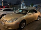 Lexus ES 300 2002 года за 3 900 000 тг. в Шымкент