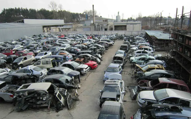 LDservice в Алматы
