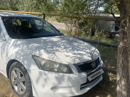 Honda Accord 2008 года за 3 300 000 тг. в Алматы – фото 3