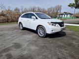 Lexus RX 350 2010 года за 12 700 000 тг. в Петропавловск – фото 3