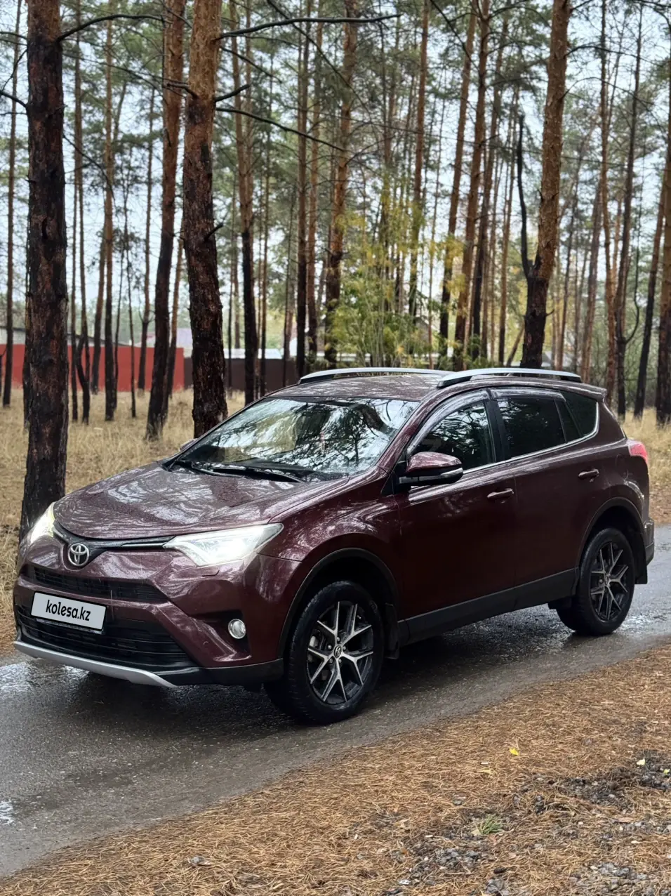 Toyota RAV4, 2019
