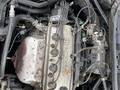 Двигатель Honda accord 2.0үшін380 000 тг. в Астана