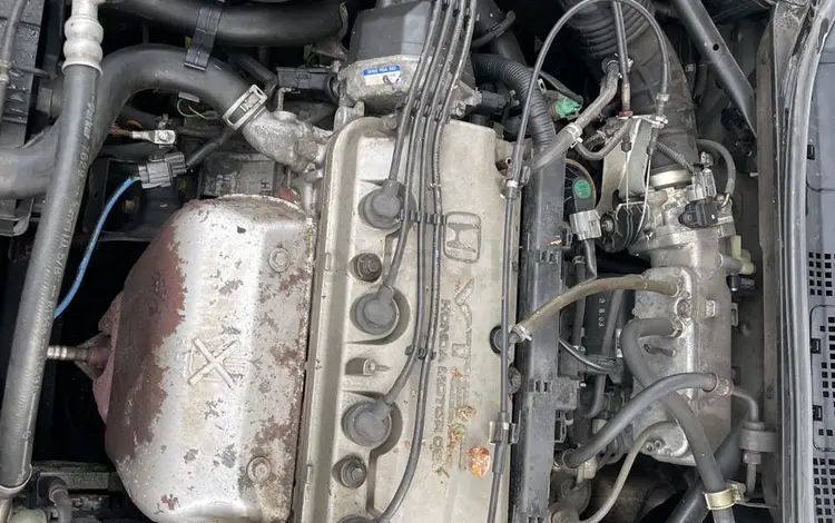 Двигатель Honda accord 2.0үшін380 000 тг. в Астана