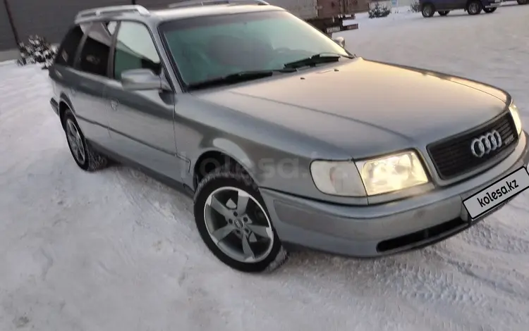 Audi 100 1991 года за 2 700 000 тг. в Петропавловск