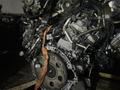 Двигатель на Toyota Tundra 5.7 L 3UR-FE (2TR/1GR/2UZ/3UZ/1UR/8AR) за 83 000 тг. в Алматы – фото 3