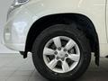 Toyota Land Cruiser Prado Prestige 2013 годаүшін13 490 000 тг. в Астана – фото 17
