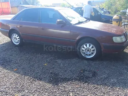 Audi 100 1994 года за 1 800 000 тг. в Акколь (Аккольский р-н) – фото 5