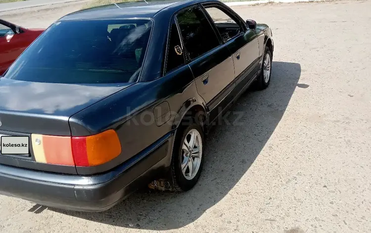 Audi 100 1993 года за 2 200 000 тг. в Талдыкорган