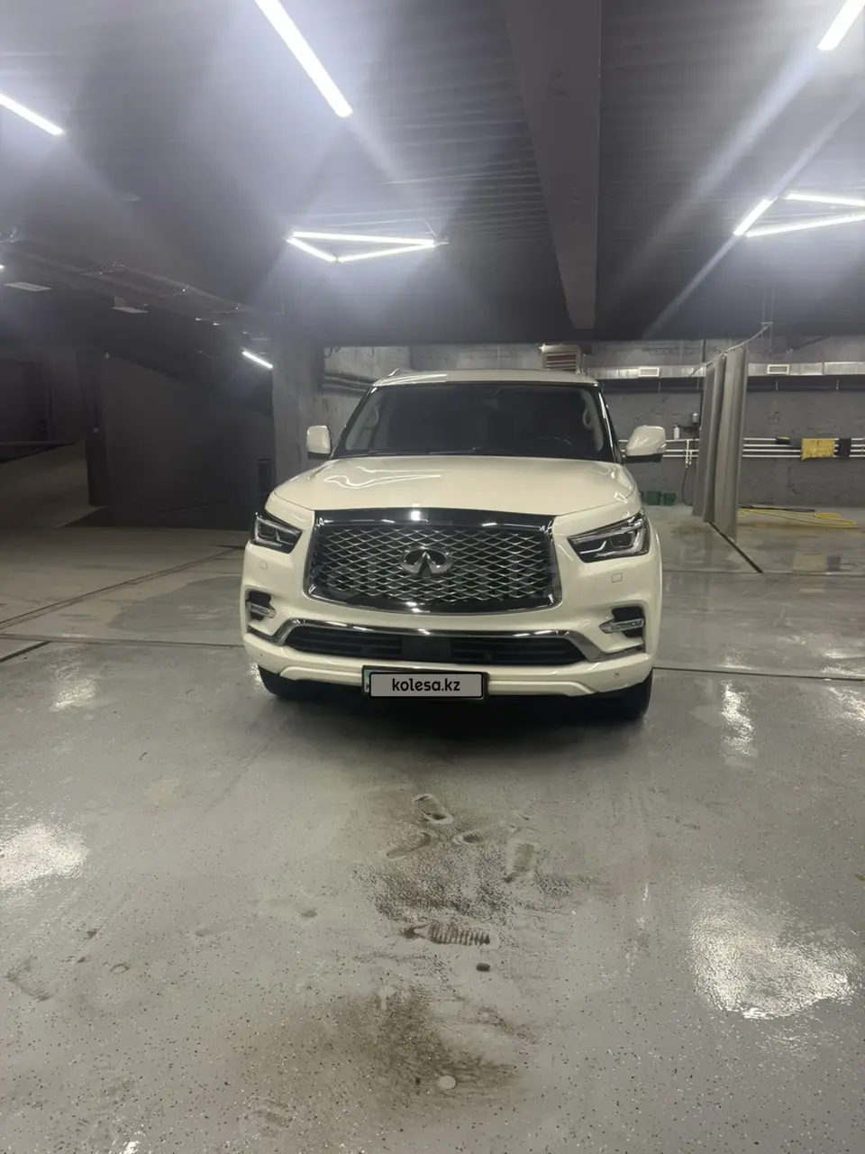 Инфинити QX80, 2019