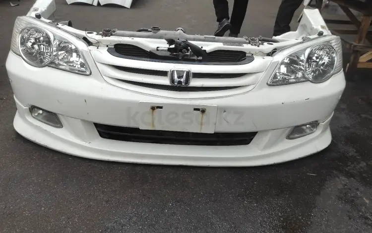 Ноускат морда за 300 000 тг. в Алматы