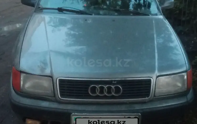 Audi 100 1991 годаүшін1 100 000 тг. в Петропавловск