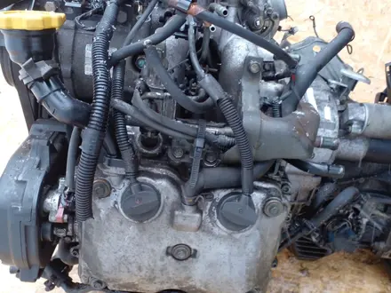 Двигатель Субару (EJ20) 2.0см европеец привозной в наличии за 320 000 тг. в Алматы – фото 3