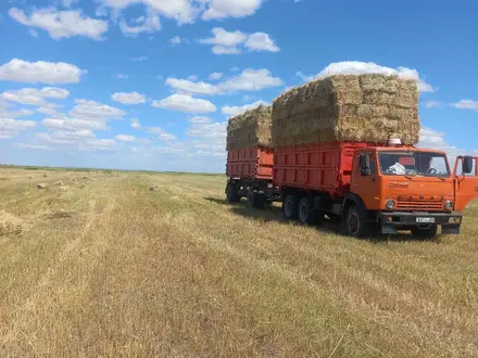 КамАЗ  555 1987 года за 6 700 000 тг. в Шу – фото 4