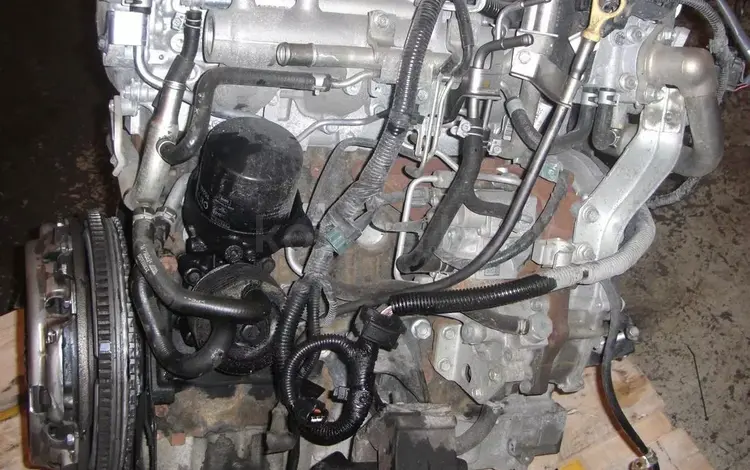 Двигатель YD25 Ниссан Патфаендр 1996-04ггүшін900 000 тг. в Алматы