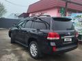 Toyota Land Cruiser 2008 года за 16 382 614 тг. в Алматы – фото 7