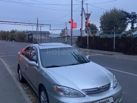 Toyota Camry 2003 года за 5 100 000 тг. в Талдыкорган – фото 3