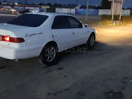 Toyota Camry 1998 года за 3 800 000 тг. в Шымкент