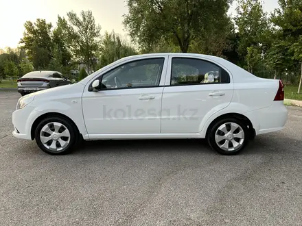 Chevrolet Nexia 2022 года за 5 450 000 тг. в Шымкент – фото 3