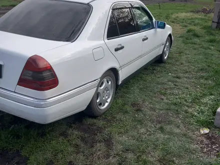 Mercedes-Benz C 180 1995 года за 1 750 000 тг. в Кокшетау – фото 9