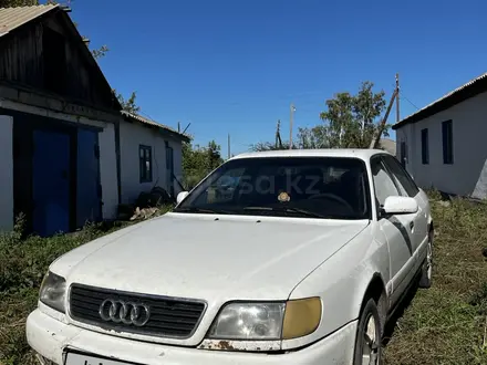 Audi A6 1996 года за 1 500 000 тг. в Павлодар