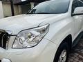 Toyota Land Cruiser Prado 2011 года за 15 800 000 тг. в Тараз – фото 9