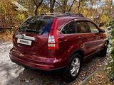 Honda CR-V 2011 годаүшін6 200 000 тг. в Караганда – фото 5