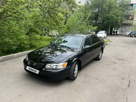 Toyota Camry 2000 года за 3 450 000 тг. в Алматы