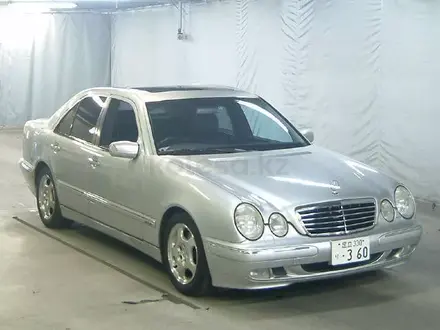 Авторазбор BMW и Mercedes Benz в Алматы – фото 24