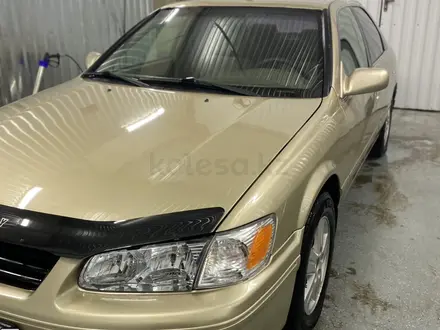 Toyota Camry 2001 года за 3 300 000 тг. в Кызылорда – фото 2