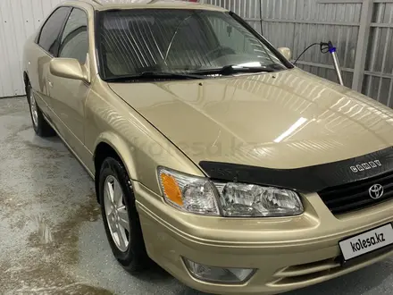 Toyota Camry 2001 года за 3 300 000 тг. в Кызылорда – фото 3