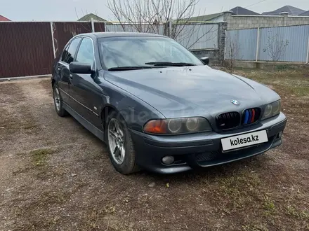 BMW 523 1997 года за 2 400 000 тг. в Алматы – фото 12