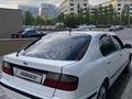 Nissan Primera 1997 года за 2 200 000 тг. в Тараз – фото 6