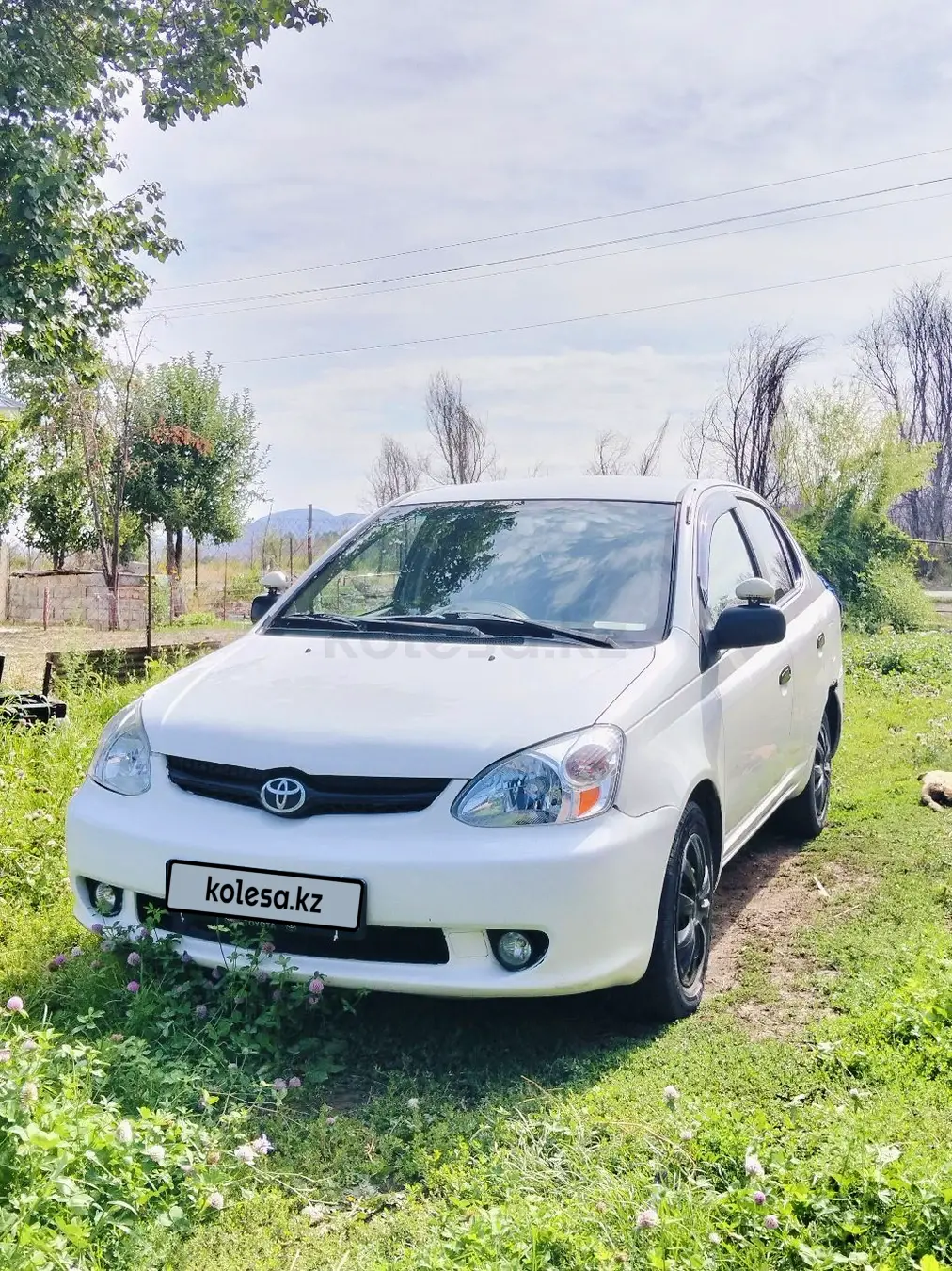 Toyota echo, 2005