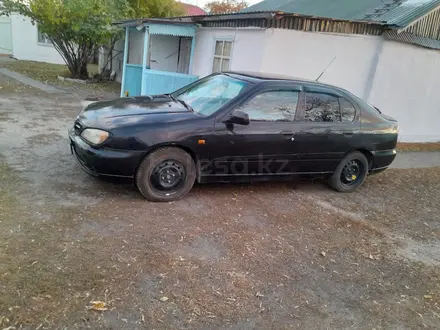 Nissan Primera 1999 года за 1 900 000 тг. в Молодежный (Уланский р-н) – фото 4