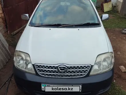 Toyota Corolla 2003 года за 2 800 000 тг. в Усть-Каменогорск