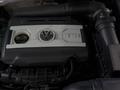 Volkswagen Tiguan 2010 года за 3 450 000 тг. в Шымкент – фото 11