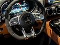 Mercedes-Benz AMG GT 2023 года за 120 000 000 тг. в Астана – фото 16